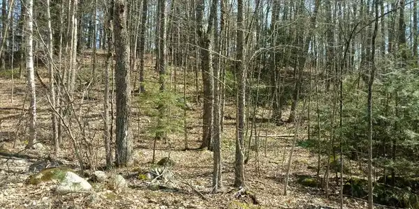 3 Hillside