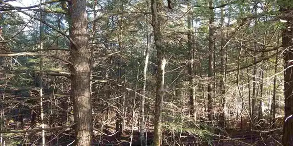 Off West Meadow