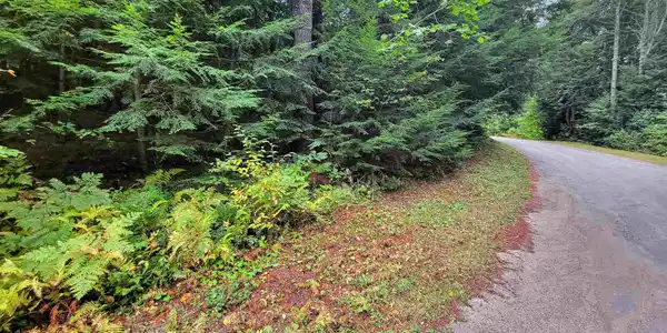 201-288 White Mountain