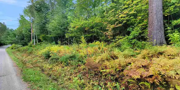 201-096 Lakeside