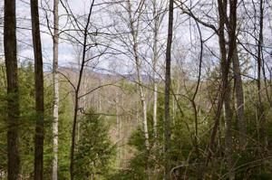 00 Huckins Hill