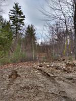 Lot 2 Hall