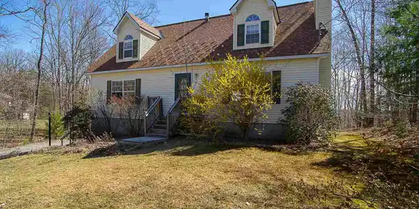 19 White Birch