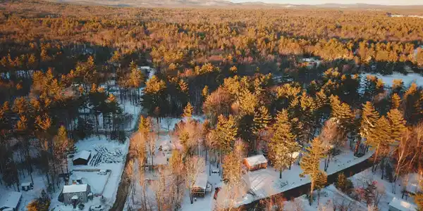 lot 135 Pine