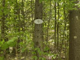 9 Oak