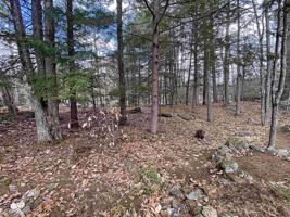 Lot 49 Windsor/Poplar Circle
