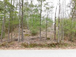 lot 5 Seven Pines