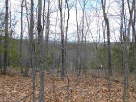 lot 4 Seven Pines