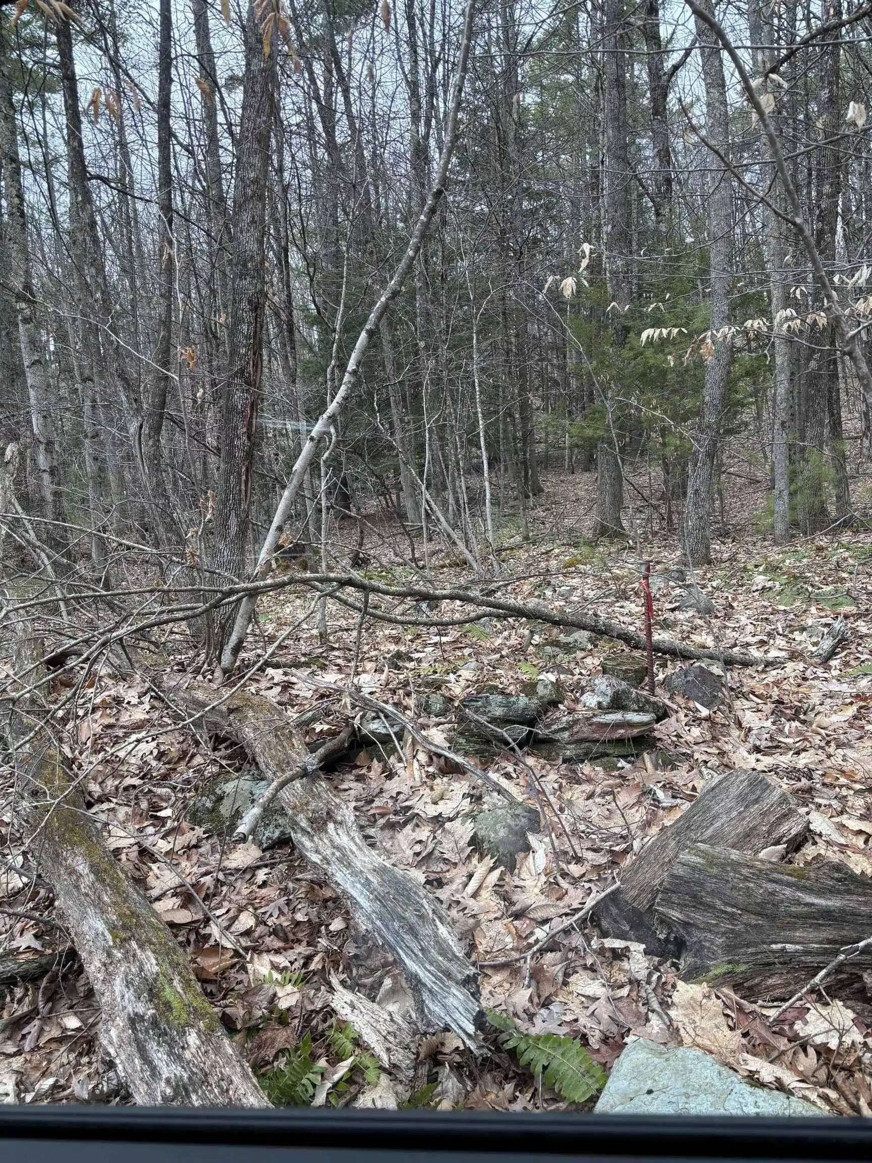 Image 1: Gleason land 1 Image 1: Gleason land 1