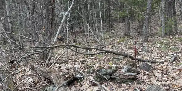 00 Coon Hill Road