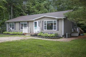 39 Beech Tree