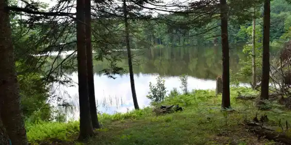 Lot 2 Sunapee