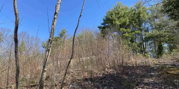 Lot 43 Marsha Drive