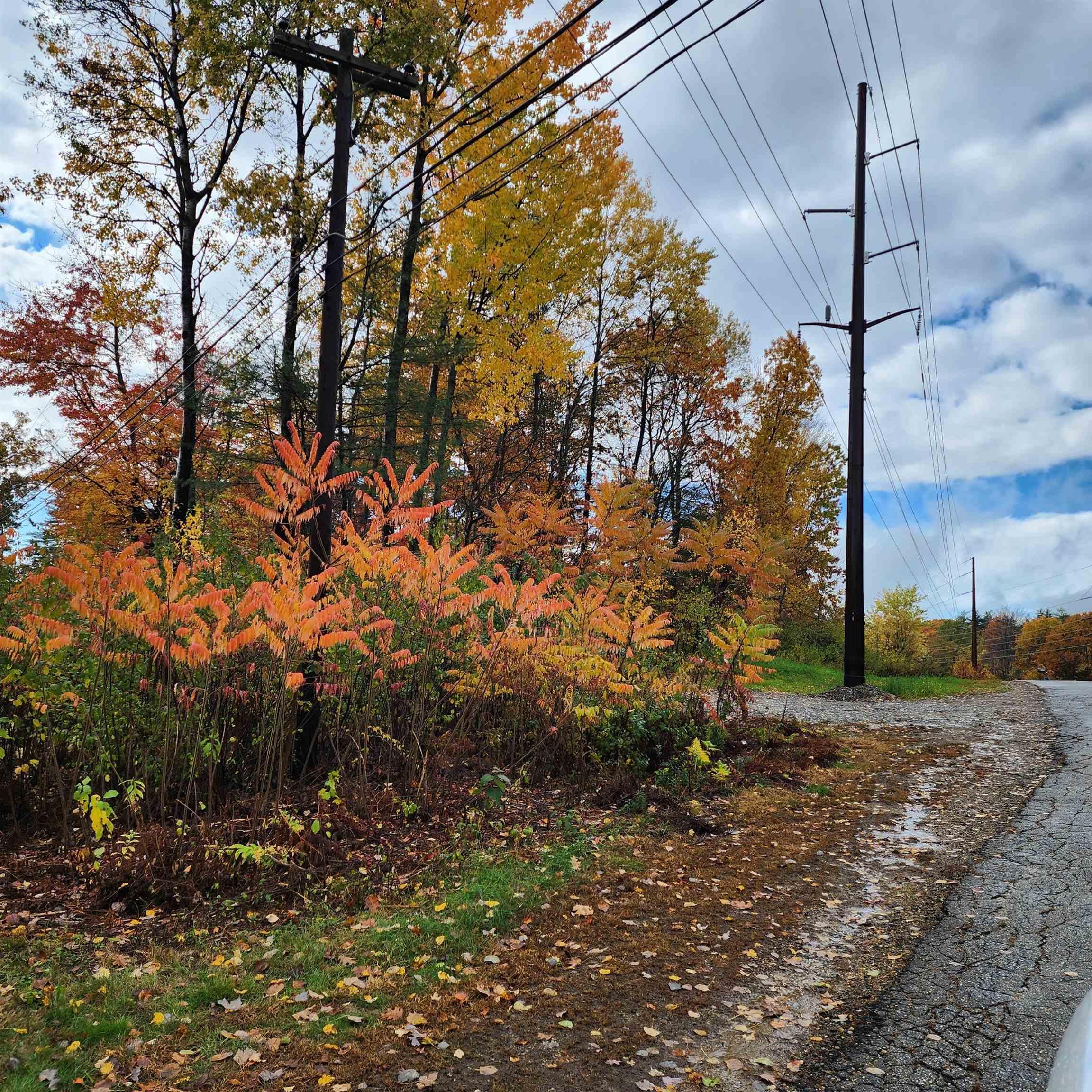 Image 1: Lot From The Road Image 1: Lot From The Road