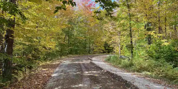 M111 L18 Fox Hill