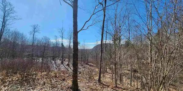 0018 Haverhill Lane