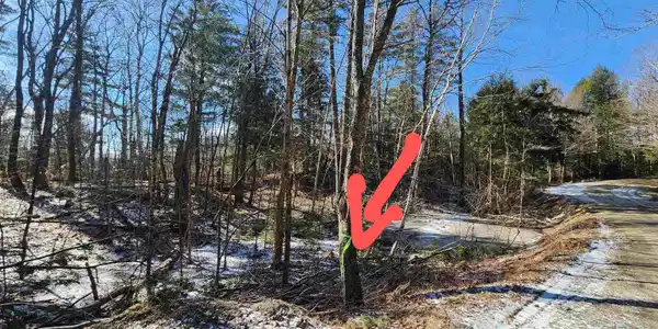 0019 Haverhill Lane