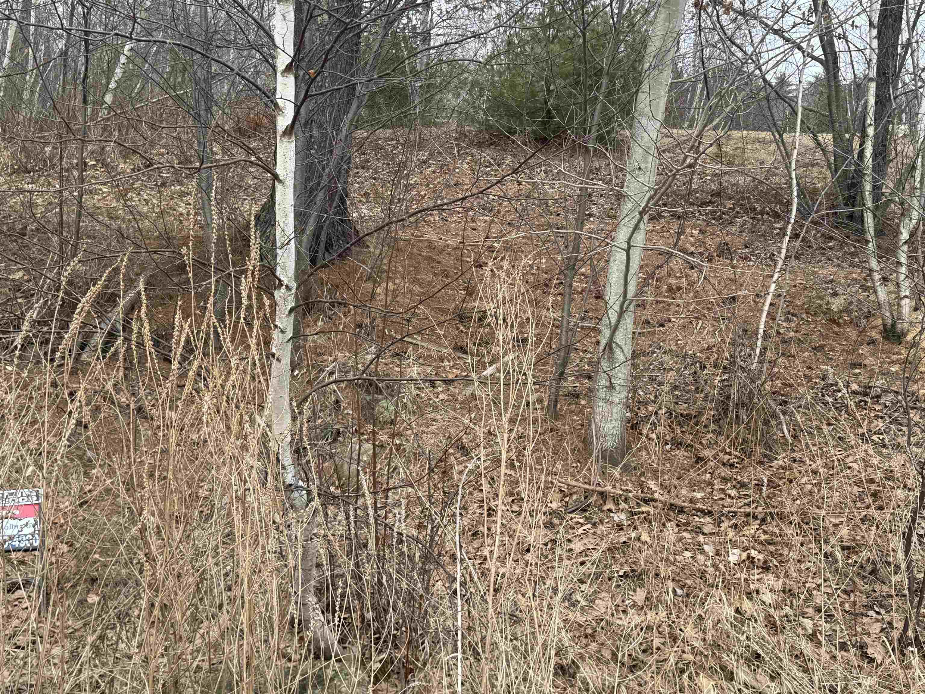 Image 3 Image 3