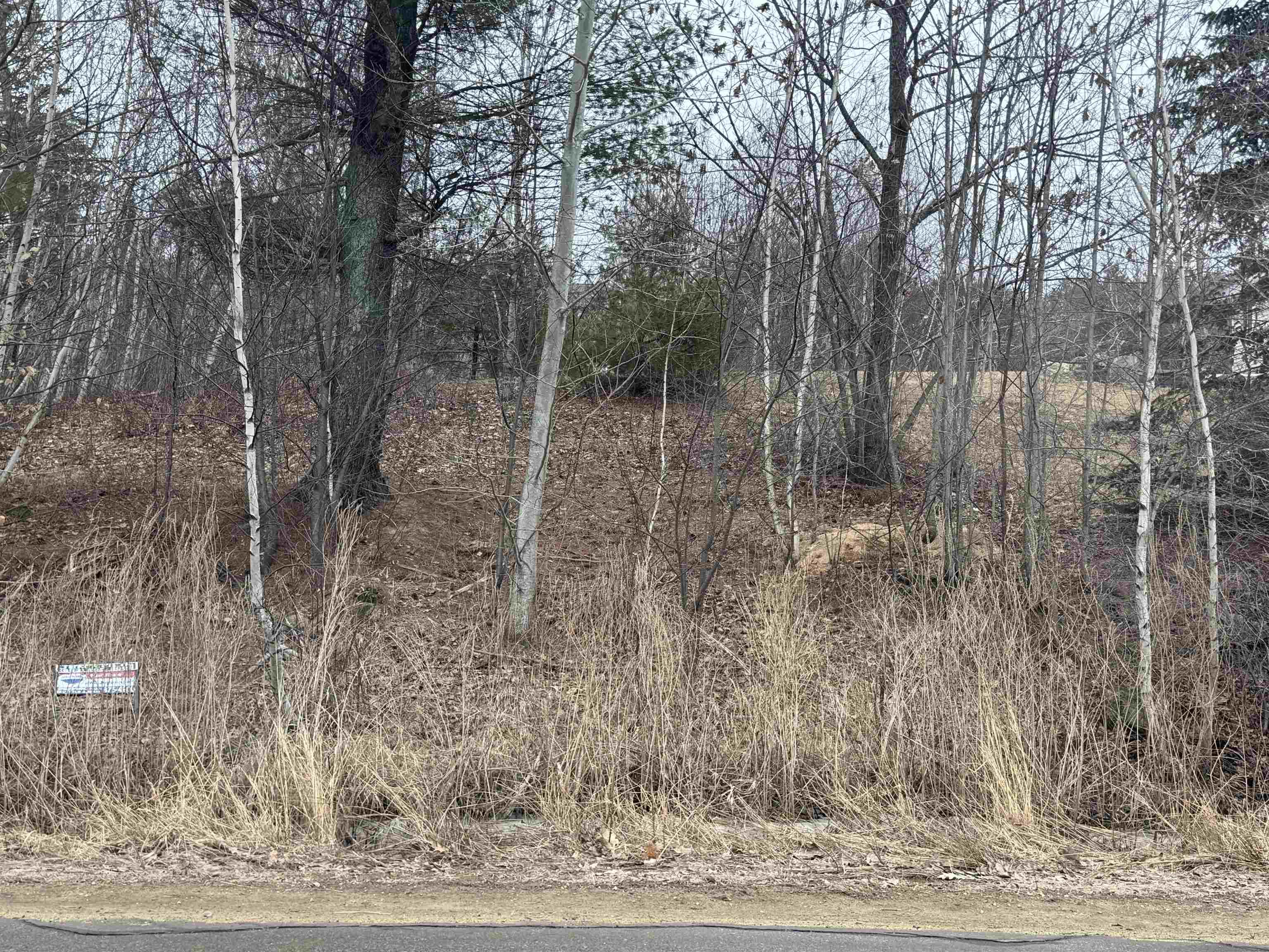 Image 4 Image 4