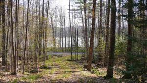 Winona Shores