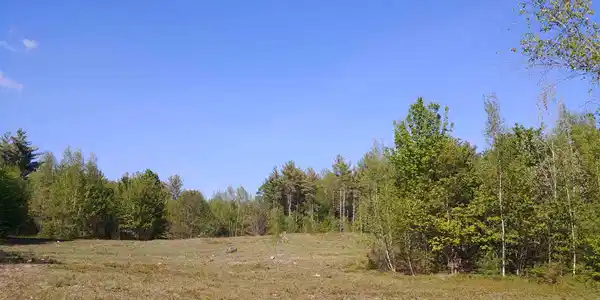 00 Wentworth