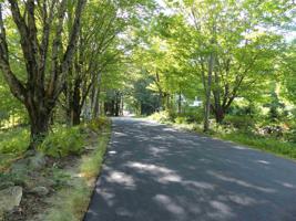 339 Vittum Hill