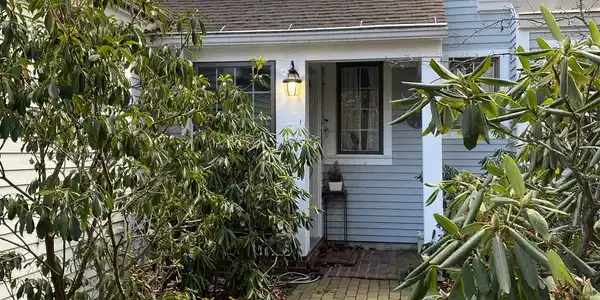 7 Wildwood