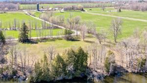 98 Alburg Springs