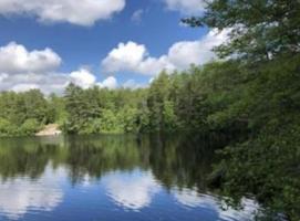 TBD Loon Cove/ Russell