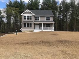 Lot 6 Labrador