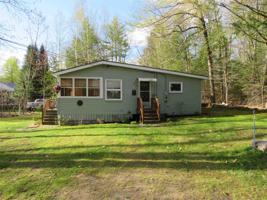 23 Birch