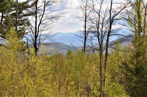 181 Valley View