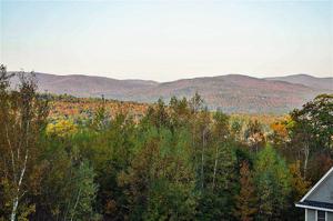 Scenic View