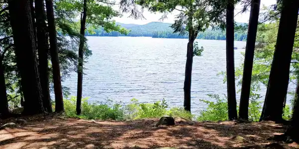 Lot 3 Cove