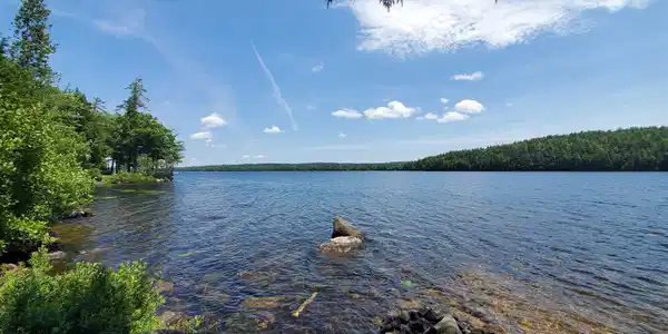 Lot 4 Cove