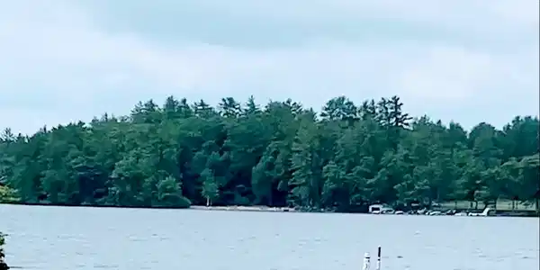 885 Laconia