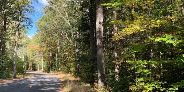 Forest Lake Road