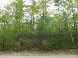 0 Sparhawk