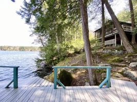 16 Hemlock