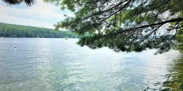 Map102 Lot14,15 Pine Point