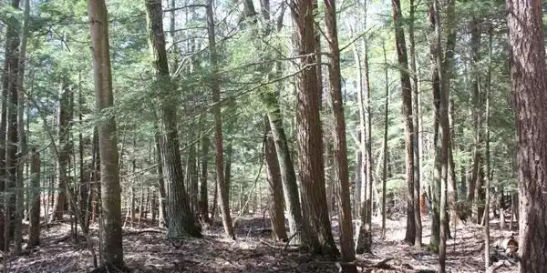 Lot 151 N Knollwood Drive