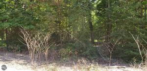 Lot 71 & 72 Timberlane Drive