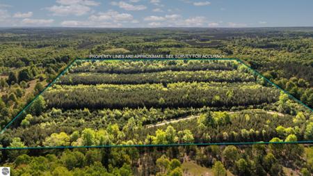 Acreage-40 Cedar Creek Road