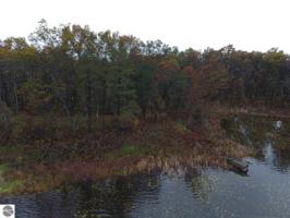 VL S Ogemaw Trail