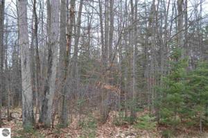 Lot 21 Ottawa Trail