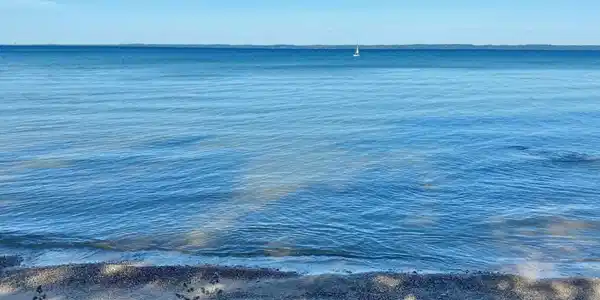 Lot 166 N Forest Beach Shores