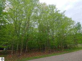 V/L Ridgeview Drive