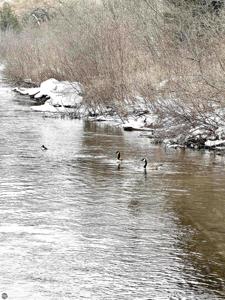 820 Boardman Acres Drive