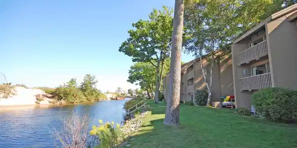 3 Tall Timber