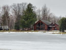 101 White Birch